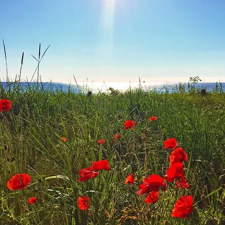Prora - Penthouse 504 Mit Meerblick Und Sauna